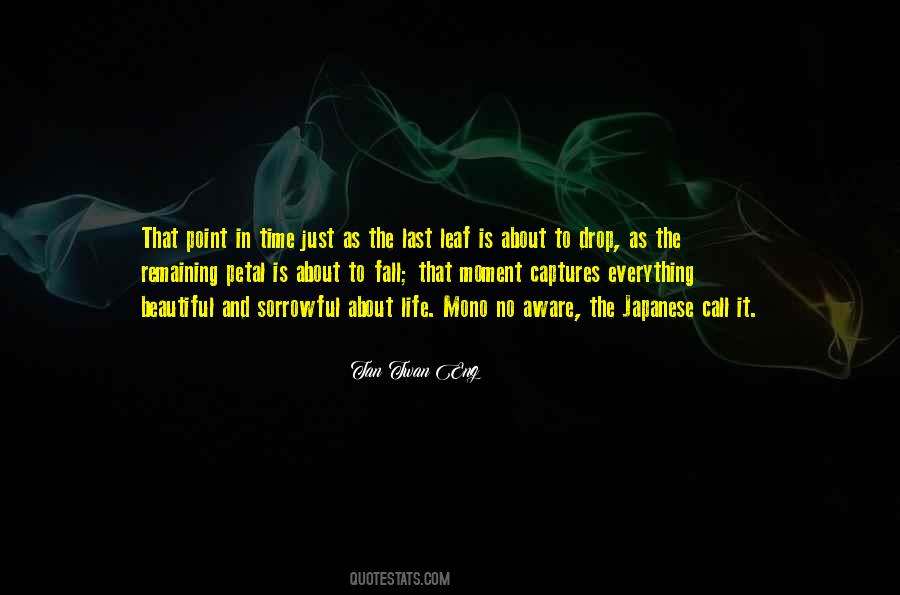 Everything Is Beautiful In Its Own Way Quotes #379669