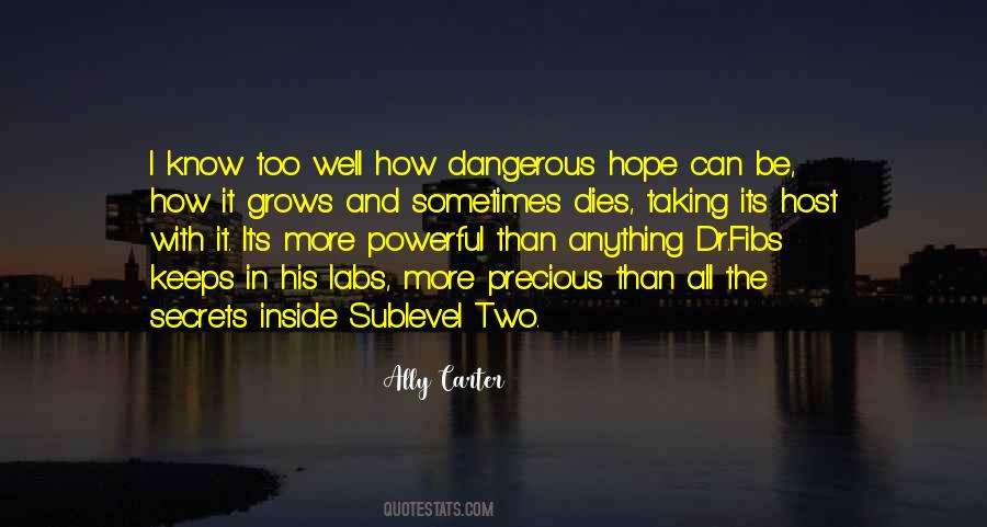 Hope Can Be A Dangerous Thing Quotes #435920