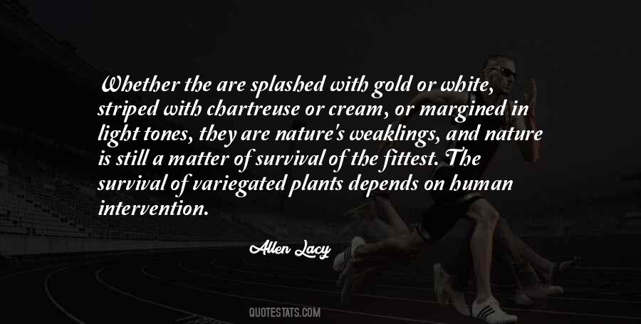 Gold's Quotes #170839