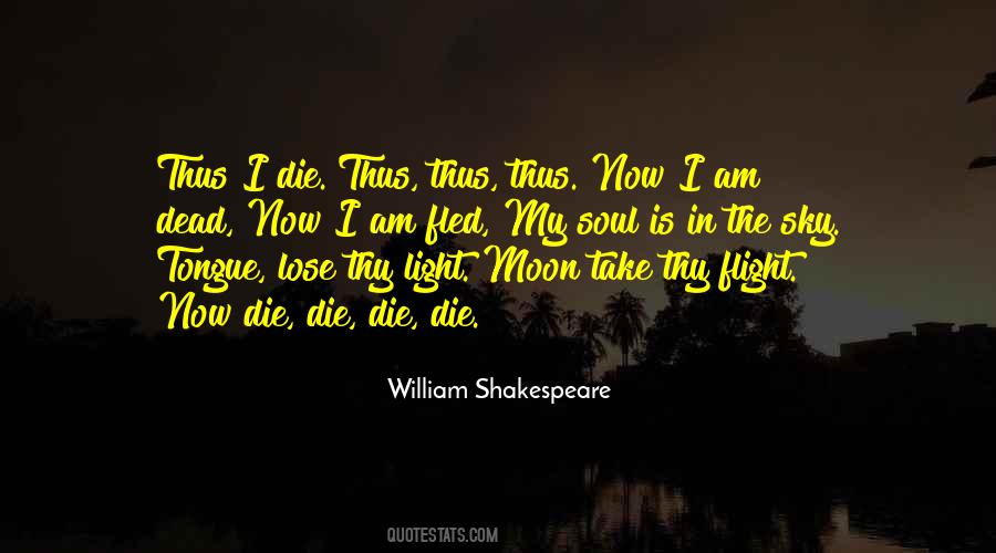 Moon Soul Quotes #405949