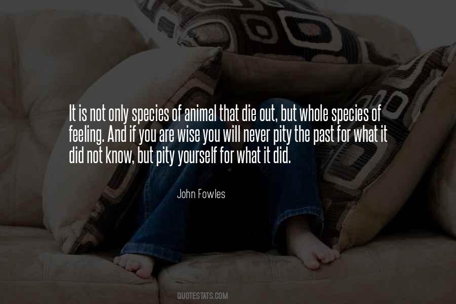 If It Is Not For You Quotes #876707