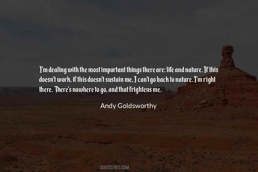 Goldsworthy Quotes #281372