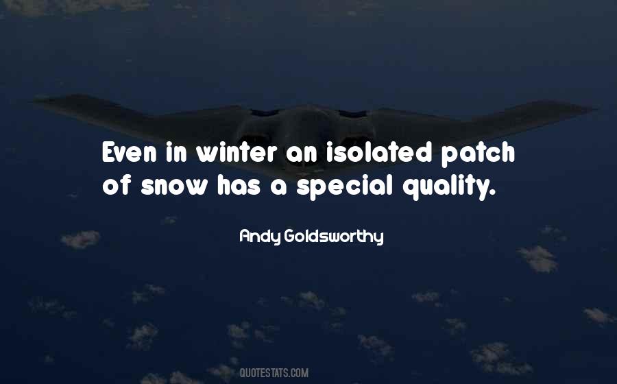 Goldsworthy Quotes #377860