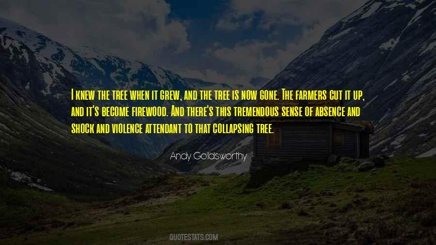 Goldsworthy Quotes #395317