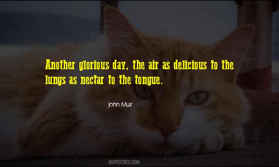 Nature Air Quotes #1175051