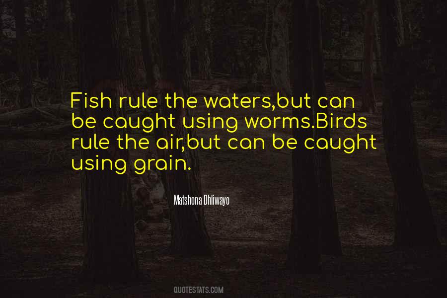 Nature Air Quotes #36941