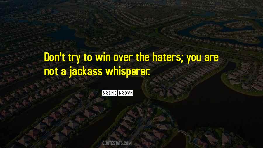 Quotes About Not Haters #744545