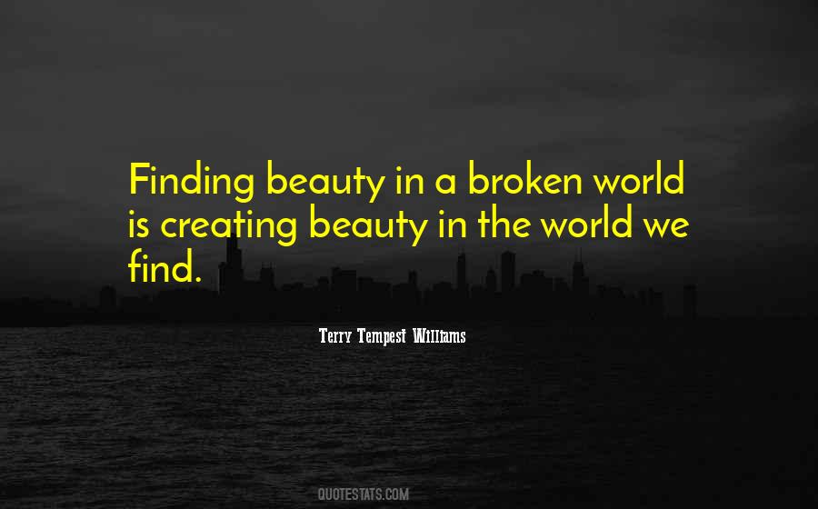 Quotes About Beauty Broken #816345