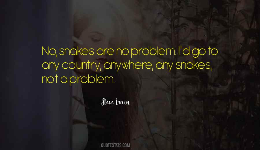 Not A Problem Quotes #1112122