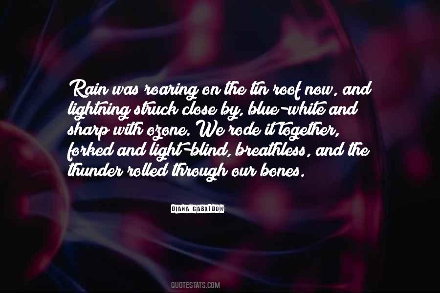 Tin Roof Quotes #1244038