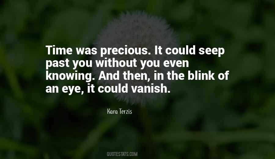 Gone In A Blink Of An Eye Quotes #111252