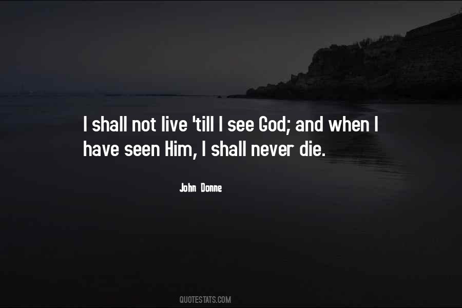 I Have Seen God Quotes #1495945