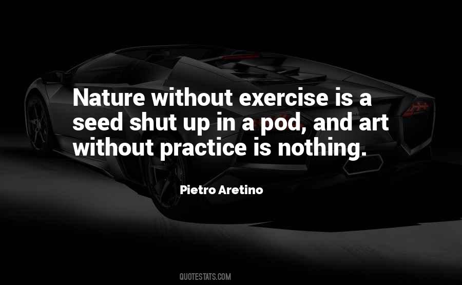 Without Practice Quotes #768582