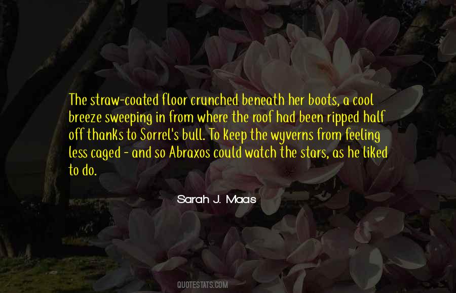 Watch The Stars Quotes #105170