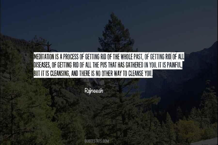 Quotes About Getting Rid Of Things #347718