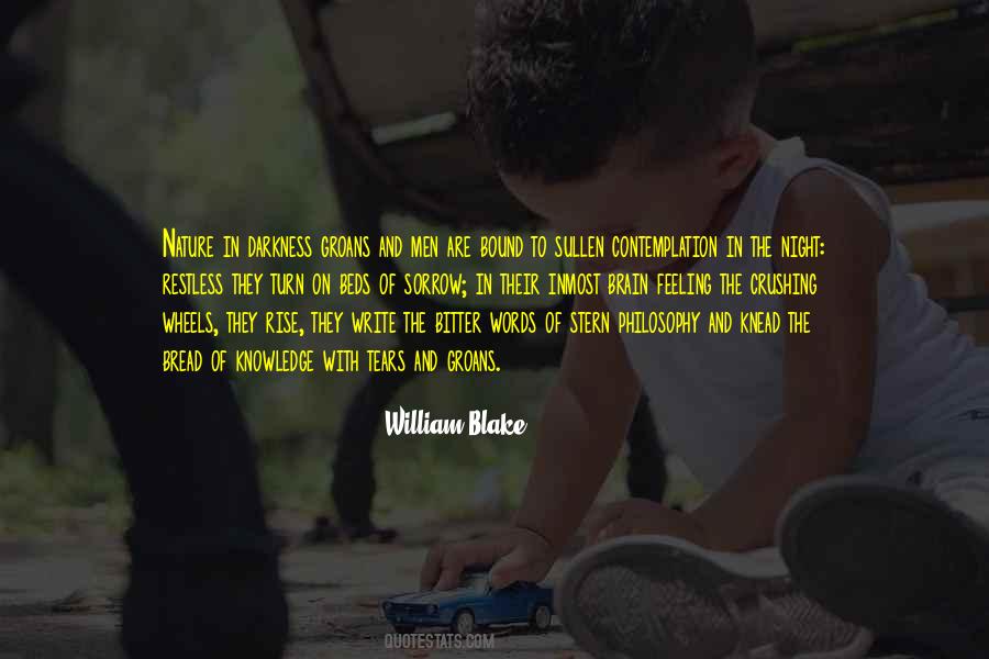 Darkness Philosophy Quotes #998558