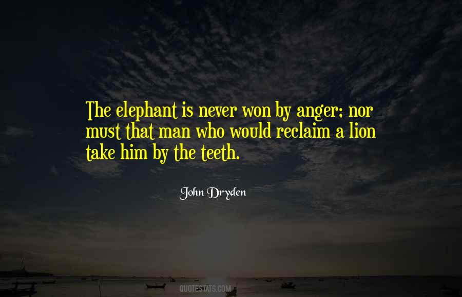 A Lion Never Quotes #166150
