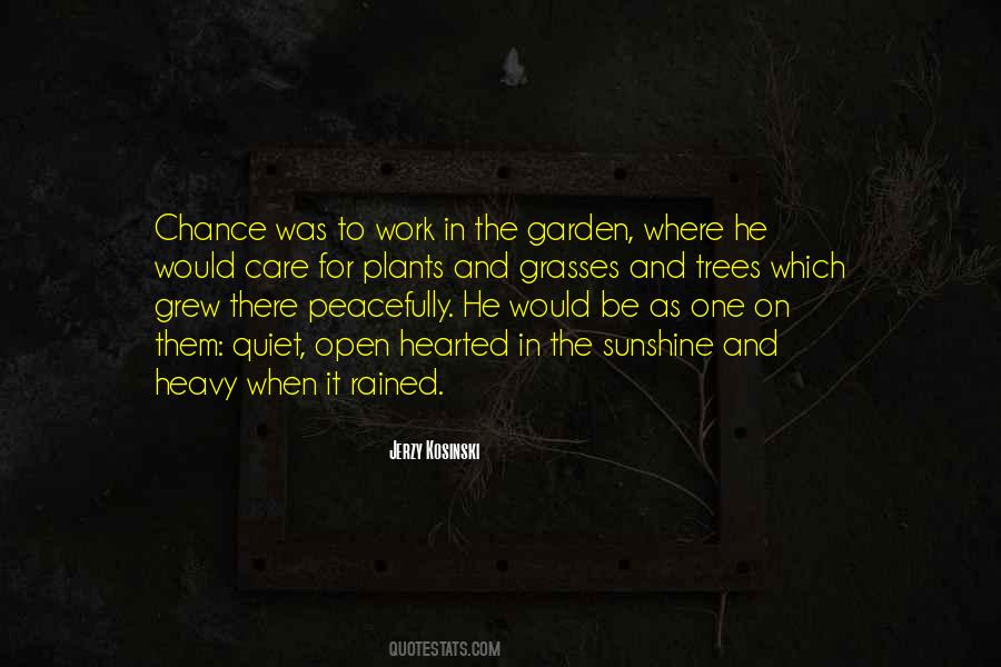 Compassion Work Quotes #91802