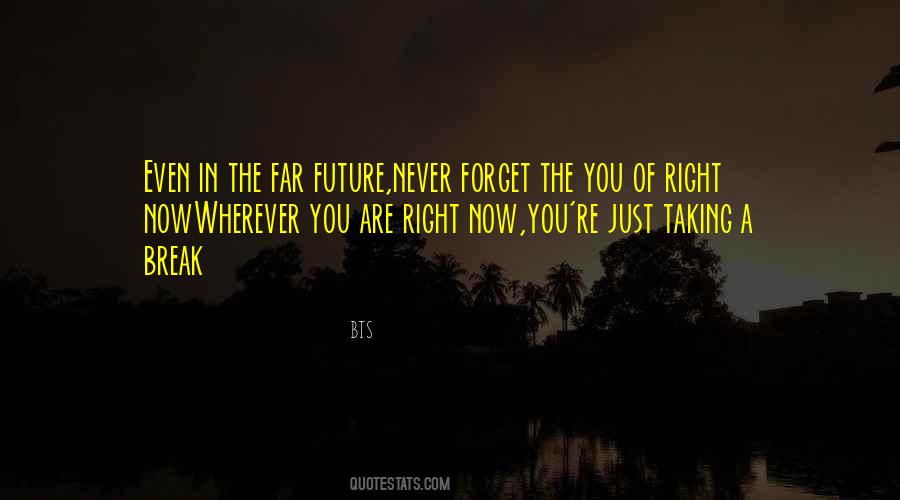 Never Break Quotes #66381