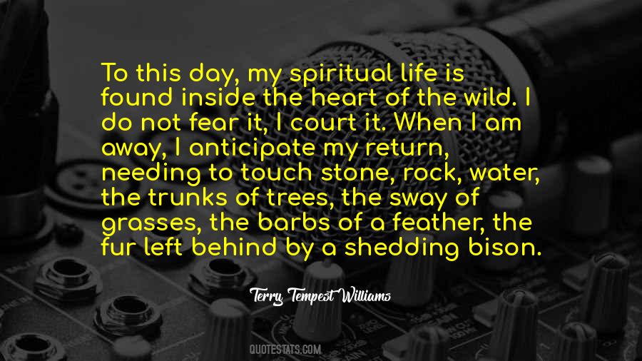 I Do Not Fear Quotes #405420