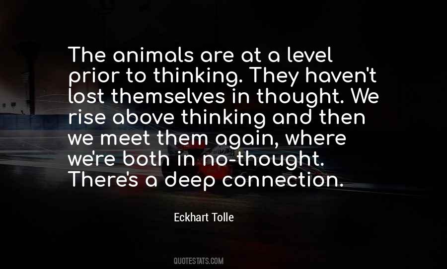 I Shall Rise Again Quotes #359878
