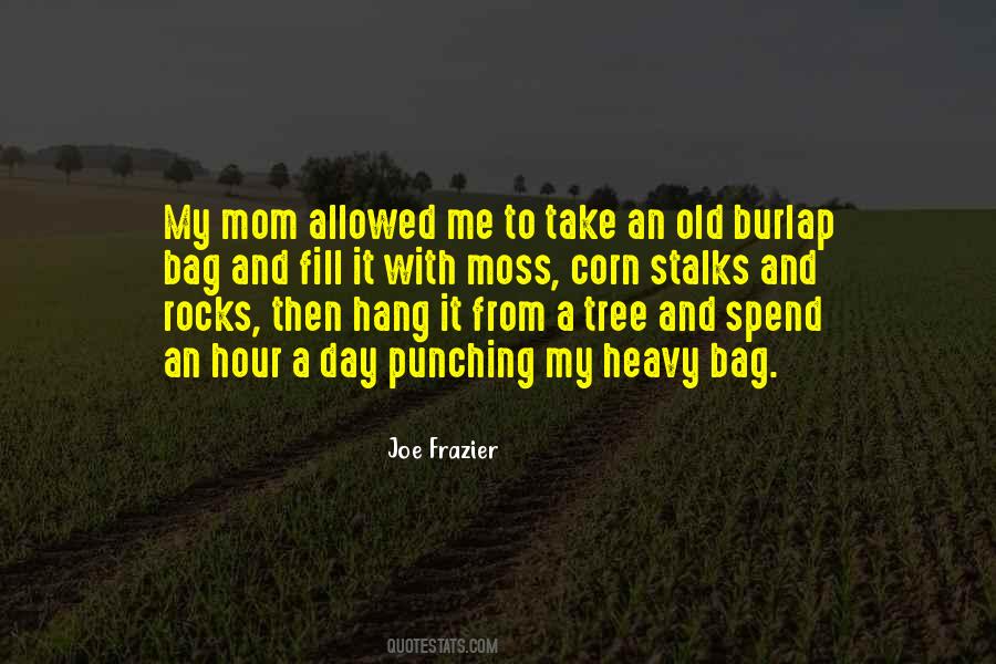 Mom Rocks Quotes #540702