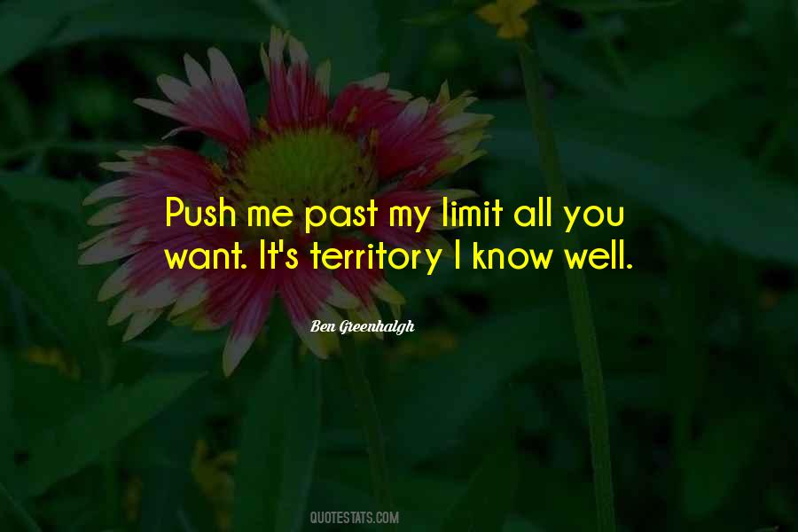 Push It To The Limit Quotes #1377101