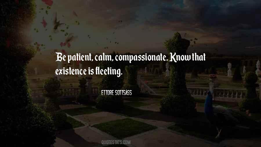 Calm And Patient Quotes #1210708