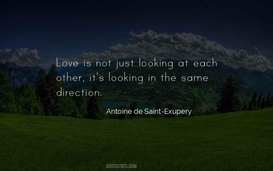 Looking Each Other Quotes #1556504