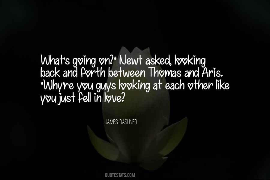 Looking Each Other Quotes #460280