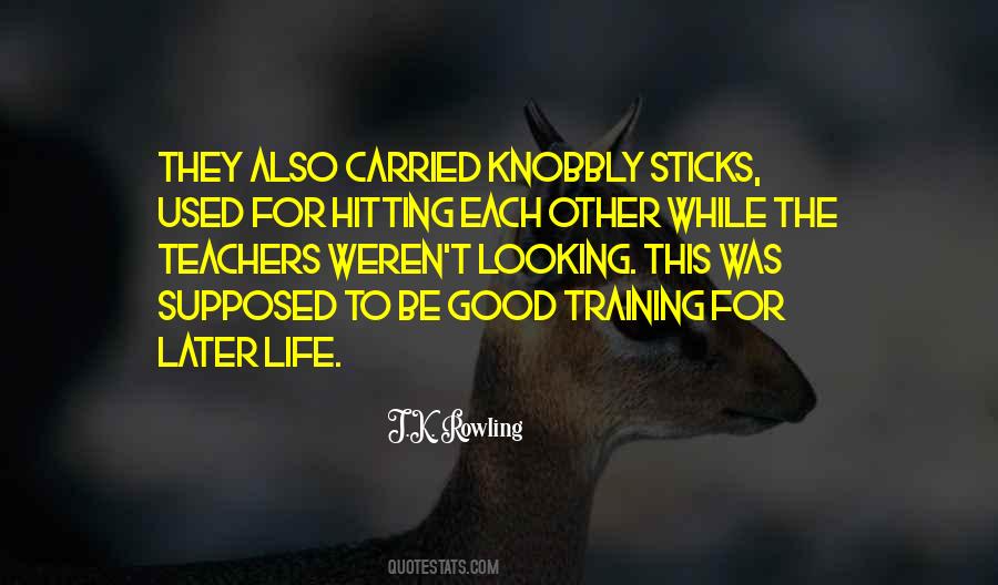 Looking Each Other Quotes #930033
