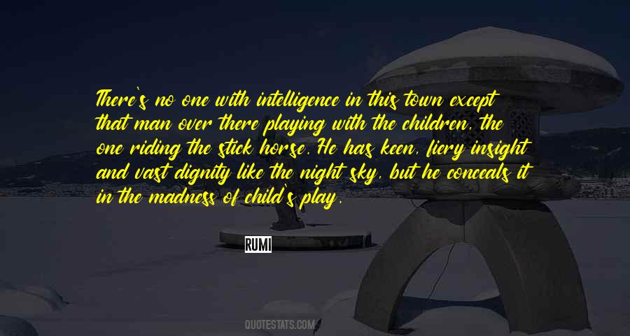 Sky In The Night Quotes #332007