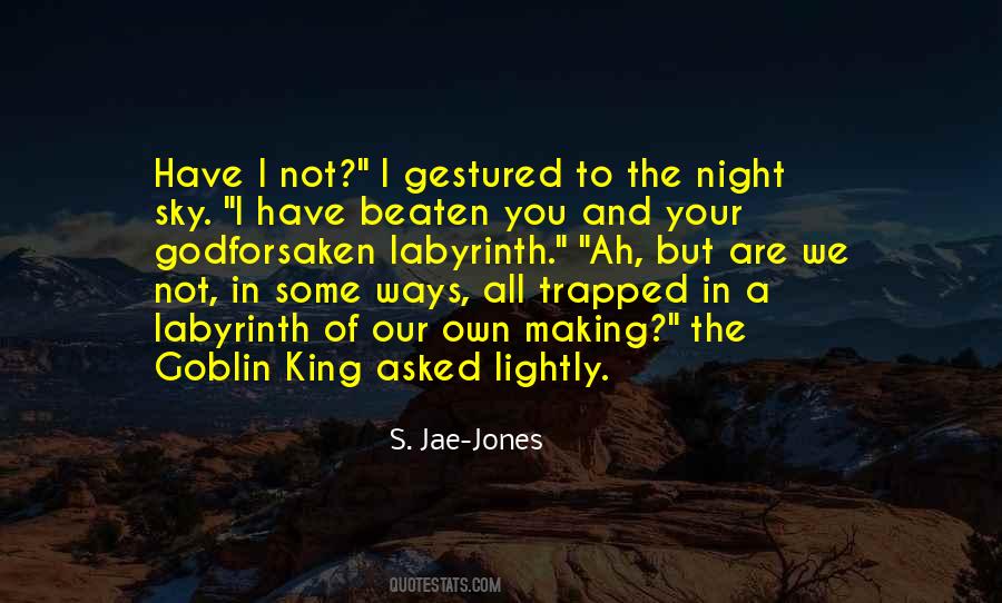 Sky In The Night Quotes #723331