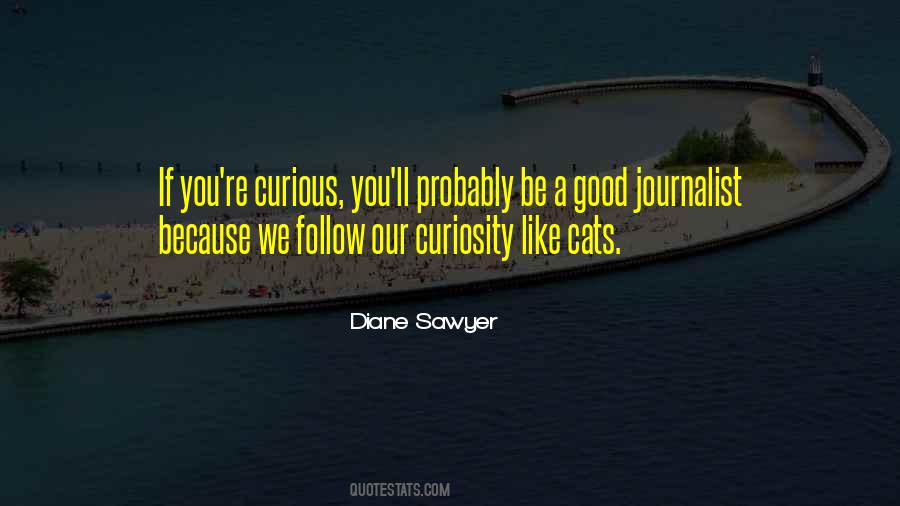 Follow Your Curiosity Quotes #1001629
