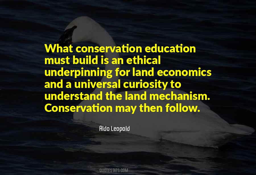 Follow Your Curiosity Quotes #1458053