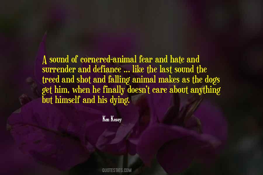 Hate Fear Quotes #195000