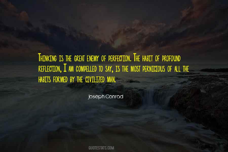 Enemy Of Perfection Quotes #246949