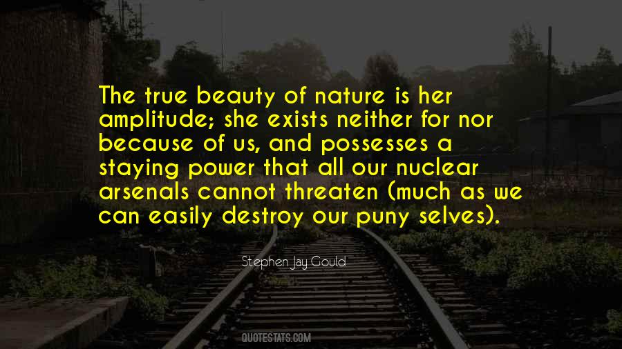 Quotes About Self And Beauty #592938