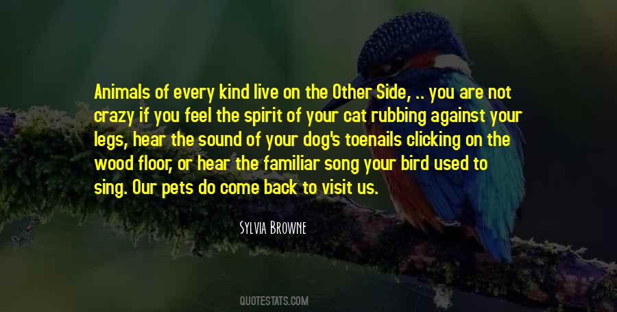 Crazy Song Quotes #905570