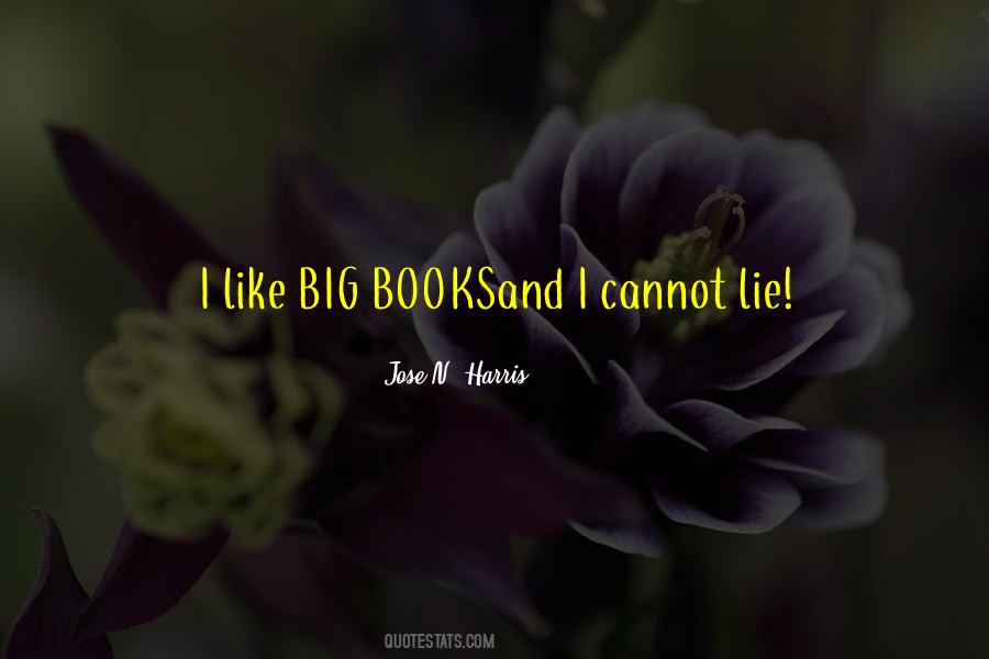 Lie Big Quotes #765623