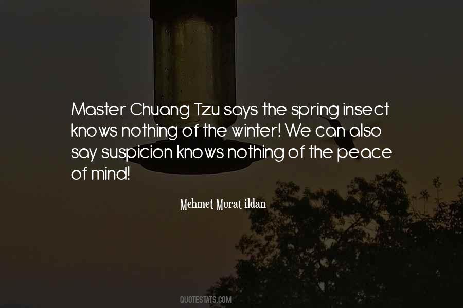 Master Of Nothing Quotes #664525