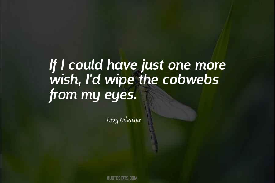 If I Have One Wish Quotes #1821942