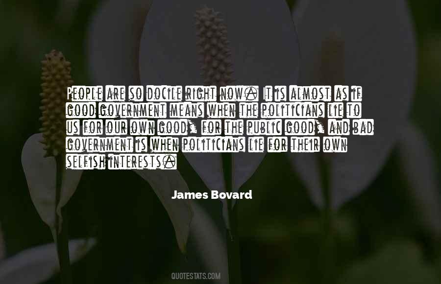 Good Government Quotes #861942