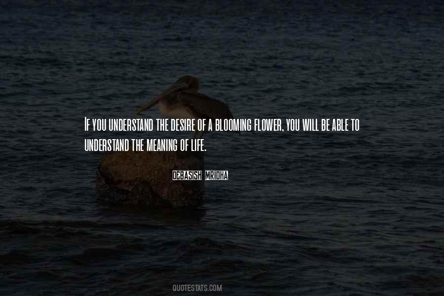 Will To Meaning Quotes #175005