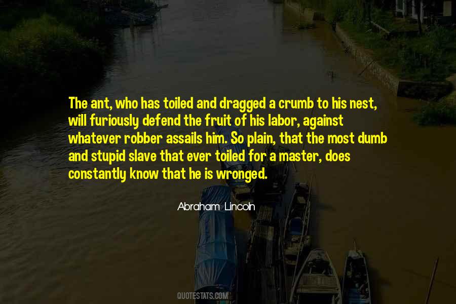 Stupid Does Quotes #984008