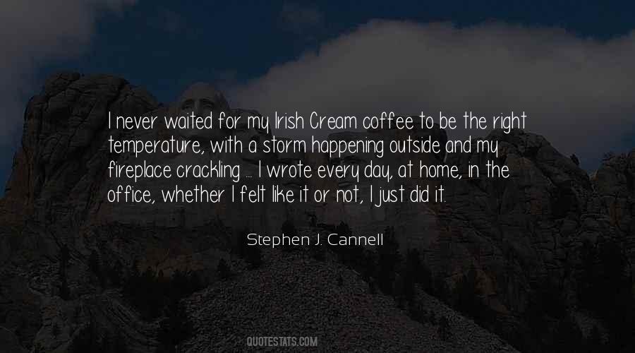 I Like Coffee Quotes #274606