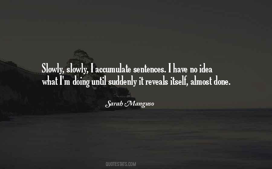 I Have No Idea Quotes #1358349
