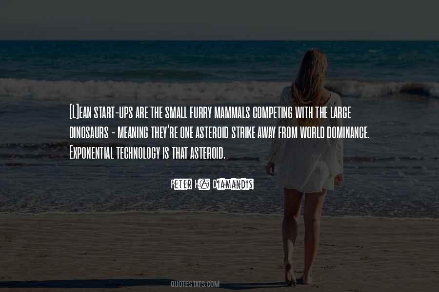 Small Meaning Quotes #1476480
