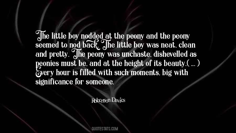 Small Meaning Quotes #1535092