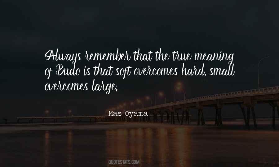 Small Meaning Quotes #1615796